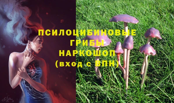 винт Заволжье