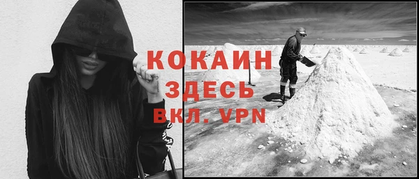 сатива Заволжск
