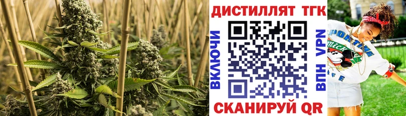 Купить где  Озёры  ТГК жижа 